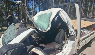 Bursa'da ormanda ağaç kesimi sırasında feci ölüm