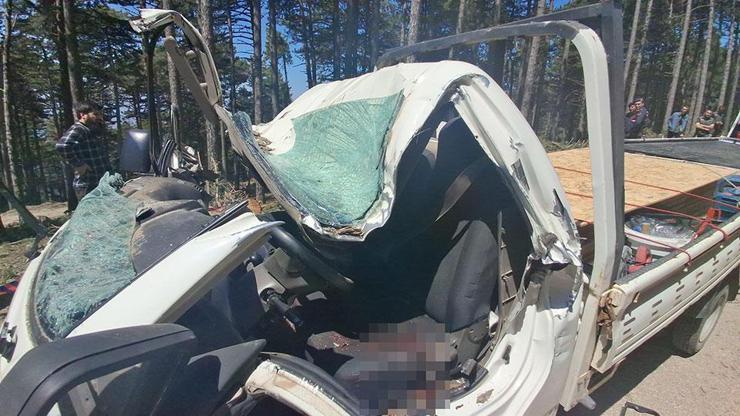 Bursa'da ormanda ağaç kesimi sırasında feci ölüm