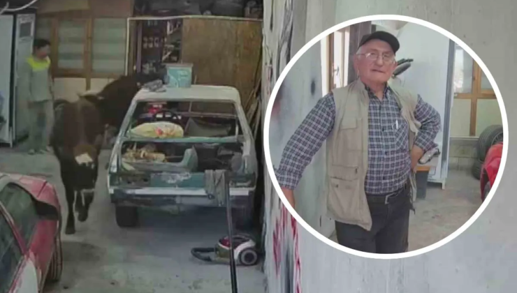 Danalar oto tamirciyi bastı, görgü tanığı: "Nazikçe geldiler, nazikçe gittiler"