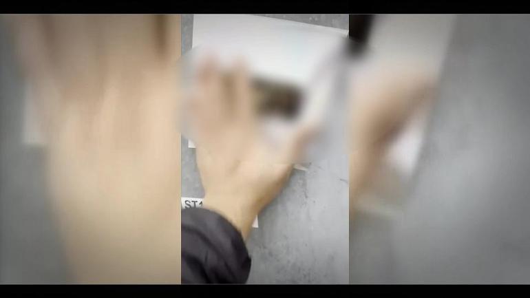 Şimdi de reklam tuzağı Altın sakladık, bulup alın