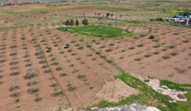 İlk kazmayı prensesleri vurmuştu. Japonların gözü bu arazide, Şanlıurfa’daki kazı başlıyor