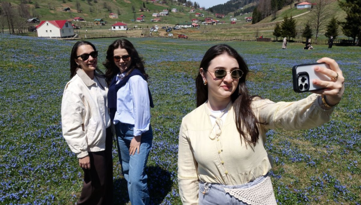 Trabzon'da Kadıralak Yaylası 'Mavi Yıldız' Çiçekleriyle Renk Cümbüşü
