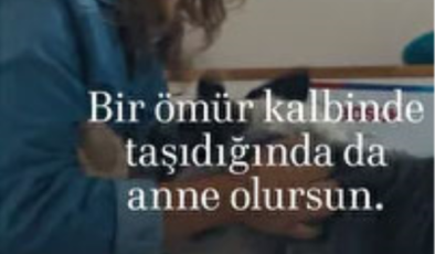 Aile ve Sosyal Hizmetler Bakanlığı, Bosch'un Anneler Günü reklamından davacı oluyor