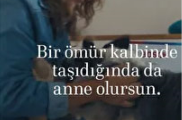 Aile ve Sosyal Hizmetler Bakanlığı, Bosch'un Anneler Günü reklamından davacı oluyor