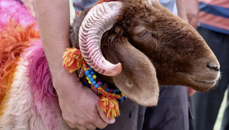 Kurban Bayramı tatili kaç gün, 9 gün mü olacak? Gözler Kabine toplantısında