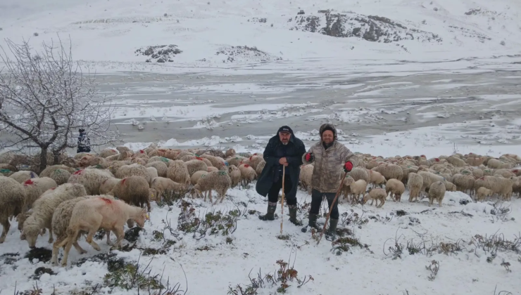 Tipi ve heyelan nedeniyle 2 çoban ve 650 küçükbaş yaylada mahsur kaldı