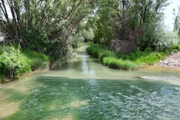 Türkülere konu olmuştu. Tecer Irmağı eski günlerine döndü