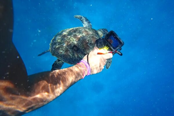 GoPro satılıyor. Çinlilerle mücadele edemedi