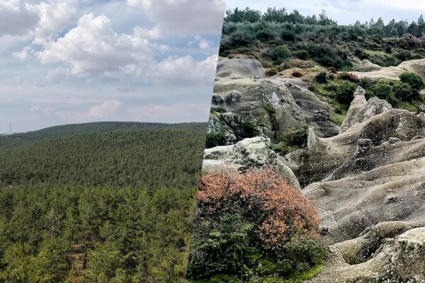 Manisa Akhisar’daki Musalar ve Gaziantep’teki Erikçe tabiat parkı ilan edildi