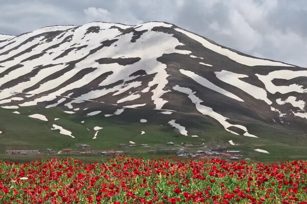 Görenler inanamadı. Aynı günde iki farklı mevsim yaşanıyor